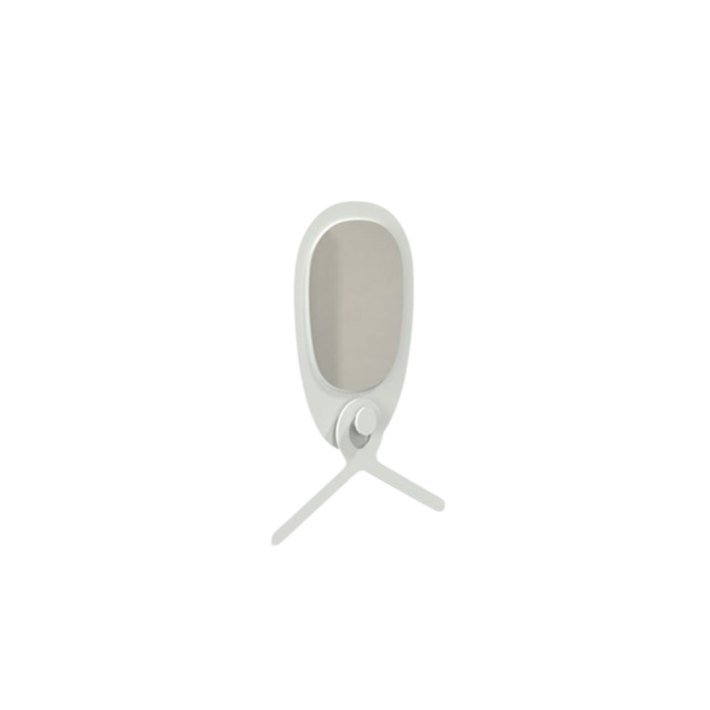 Frost W6001 Mirror with Hook & Hanger